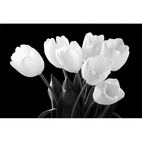 Tulip Bunch – Black & White Printed Canvas Floral Themed Printed Canvas Dimensions: 122 X 81,3CM
