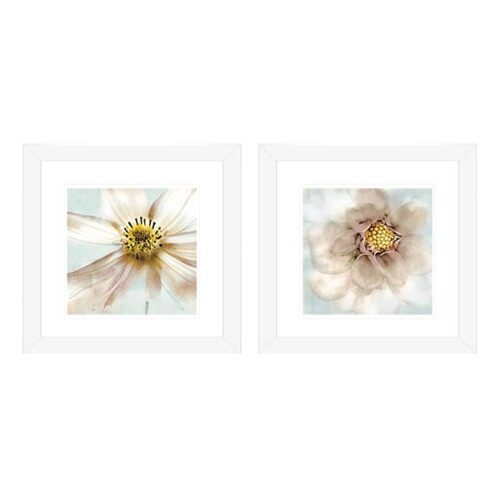 Soft Cosmos & Soft Dahlia Floral Themed Framed PrintDimensions 77 X 77 CM