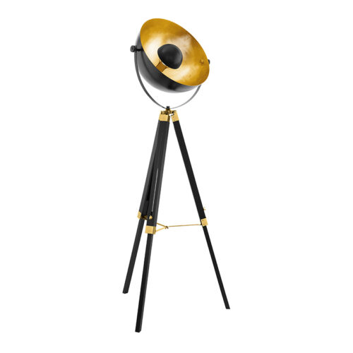 Covaleda Floor Light - Black & Gold