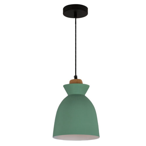 Charlotte 190mm Green/Wood Pendant