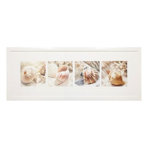 Framed Print Coral Shells