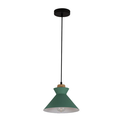 Charlotte 255mm Green/Wood Pendant