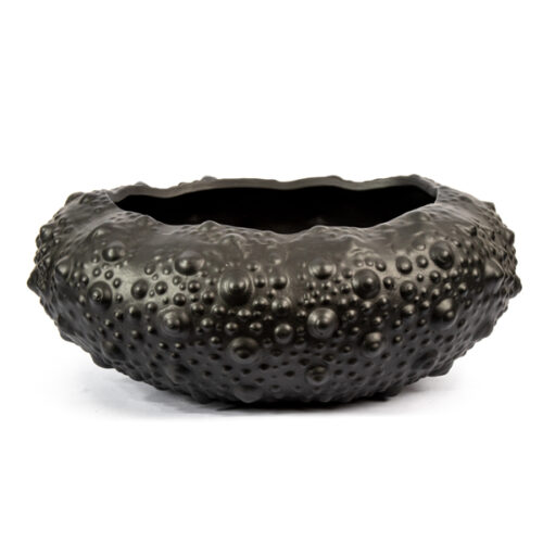 Barnacle Bowl Vase In Black